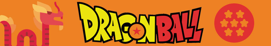 Disfraz Dragon Ball